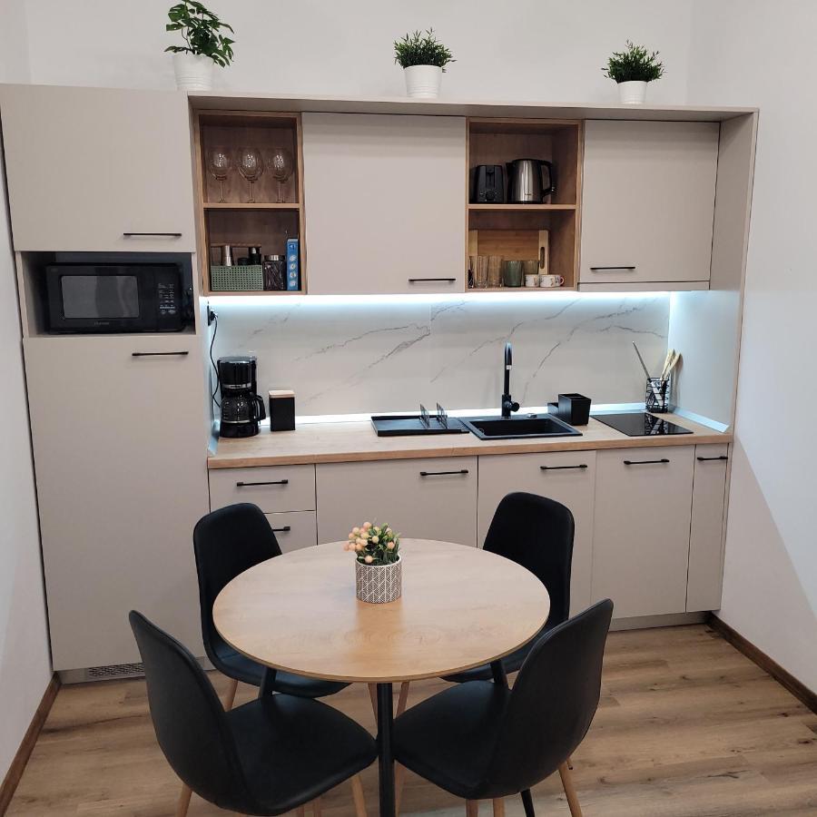 B8 - Spacious, Charming Apartment In Central Sibiu Eksteriør billede