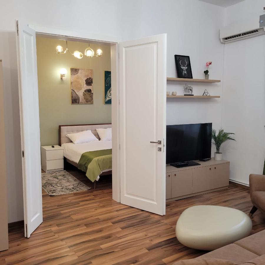 B8 - Spacious, Charming Apartment In Central Sibiu Eksteriør billede