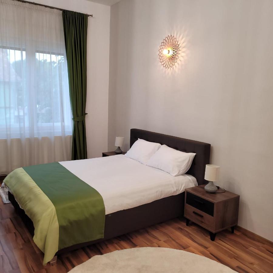 B8 - Spacious, Charming Apartment In Central Sibiu Eksteriør billede
